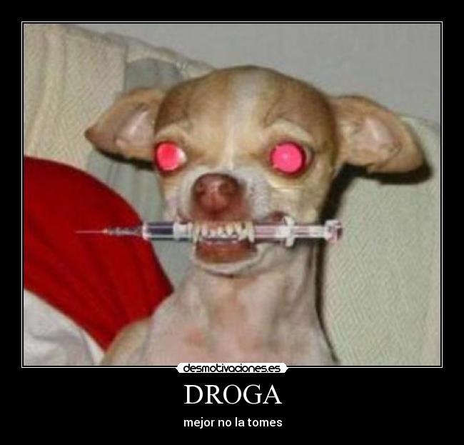 DROGA - 