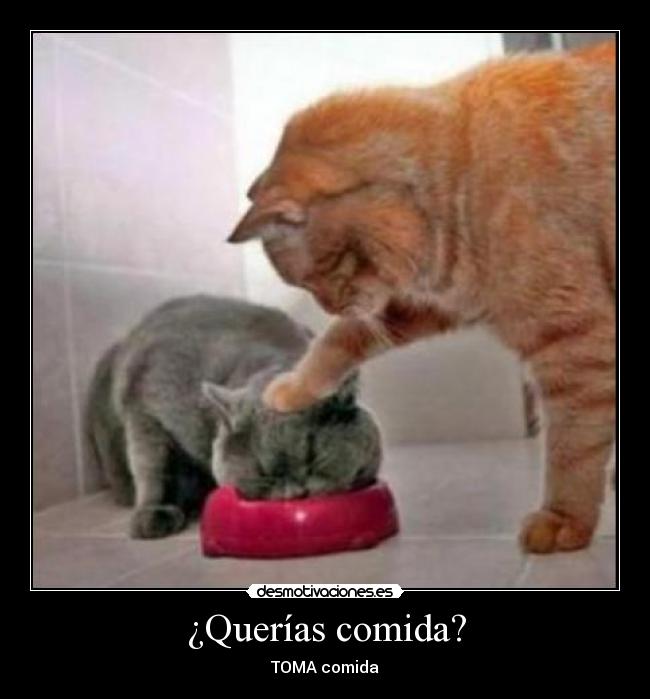 ¿Querías comida? - TOMA comida