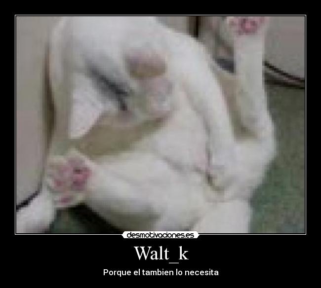 Walt_k - Porque el tambien lo necesita
