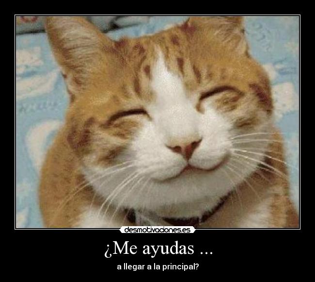 ¿Me ayudas ... -