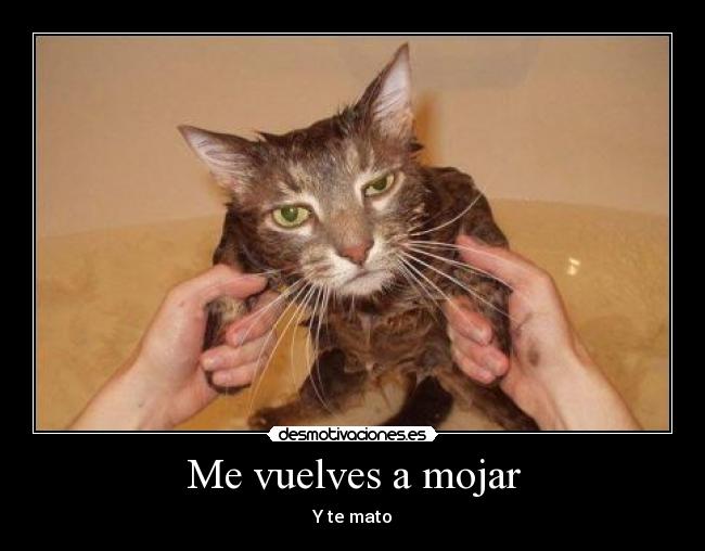 Me vuelves a mojar -