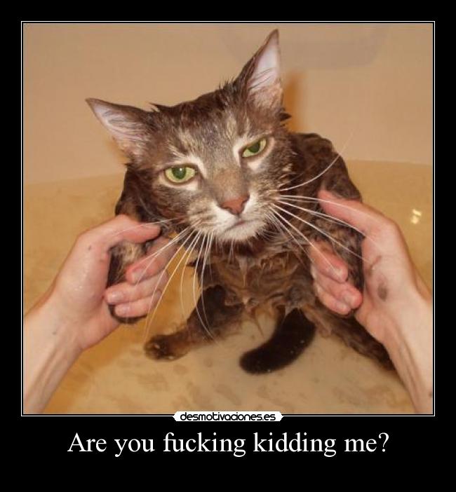 Are you fucking kidding me? -