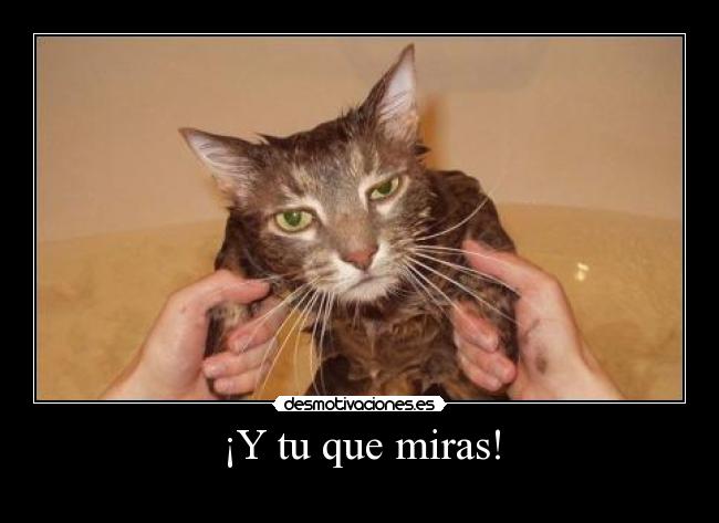 carteles taticaps desmotivaciones