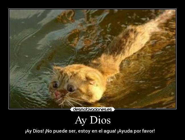 Ay Dios -