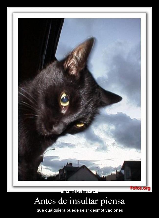 Antes de insultar piensa - que cualquiera puede se sr desmotivaciones