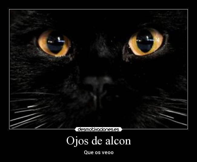 Ojos de alcon -