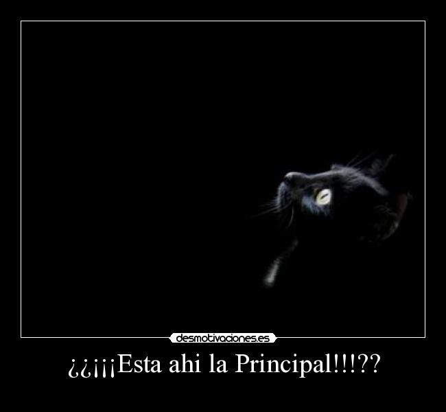 ¿¿¡¡¡Esta ahi la Principal!!!?? -