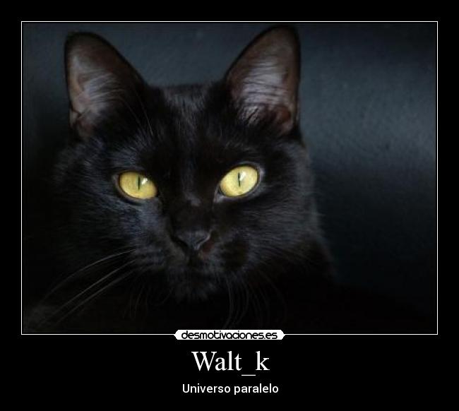Walt_k -