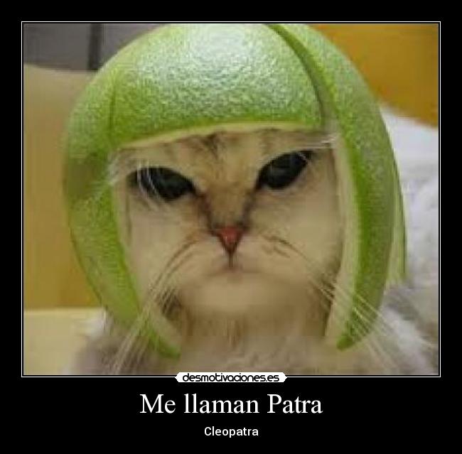 Me llaman Patra -