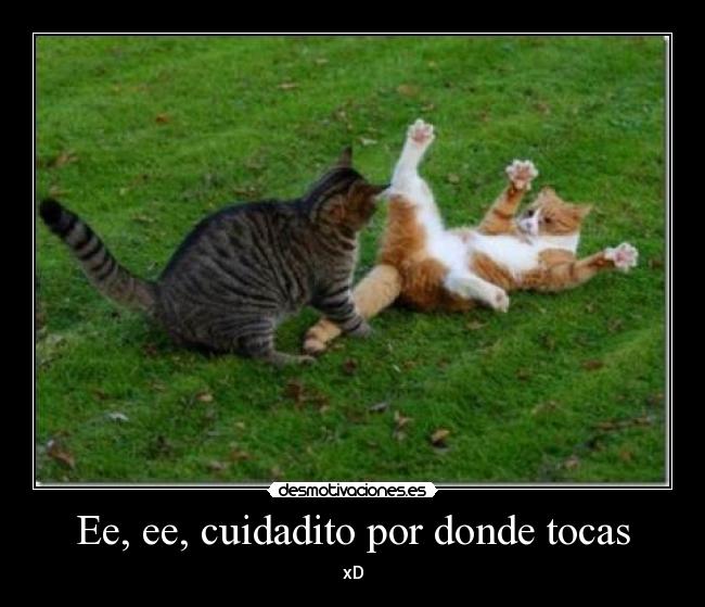 Ee, ee, cuidadito por donde tocas - xD