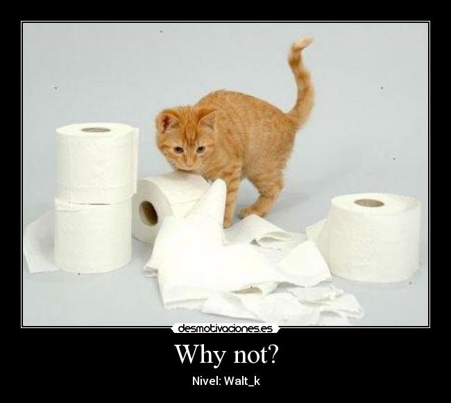 Why not? - Nivel: Walt_k