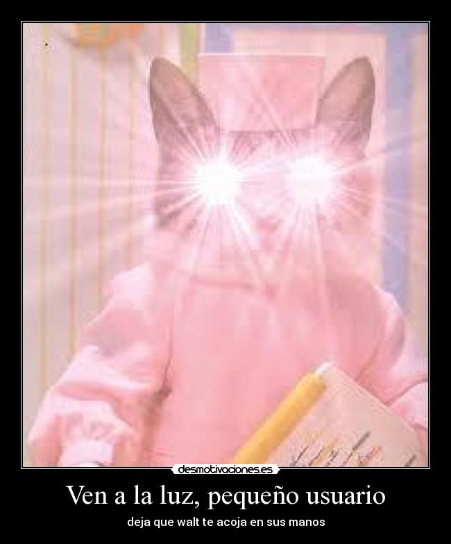 Ven a la luz, pequeño usuario - 