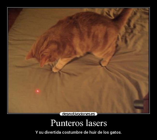 Punteros lasers - 