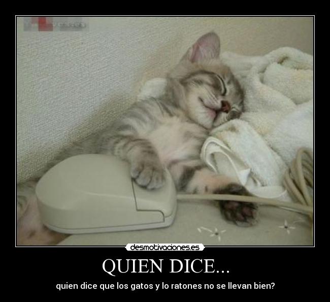 QUIEN DICE... -