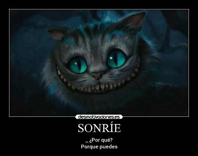 carteles sonrie desmotivaciones