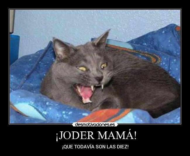 ¡JODER MAMÁ! -