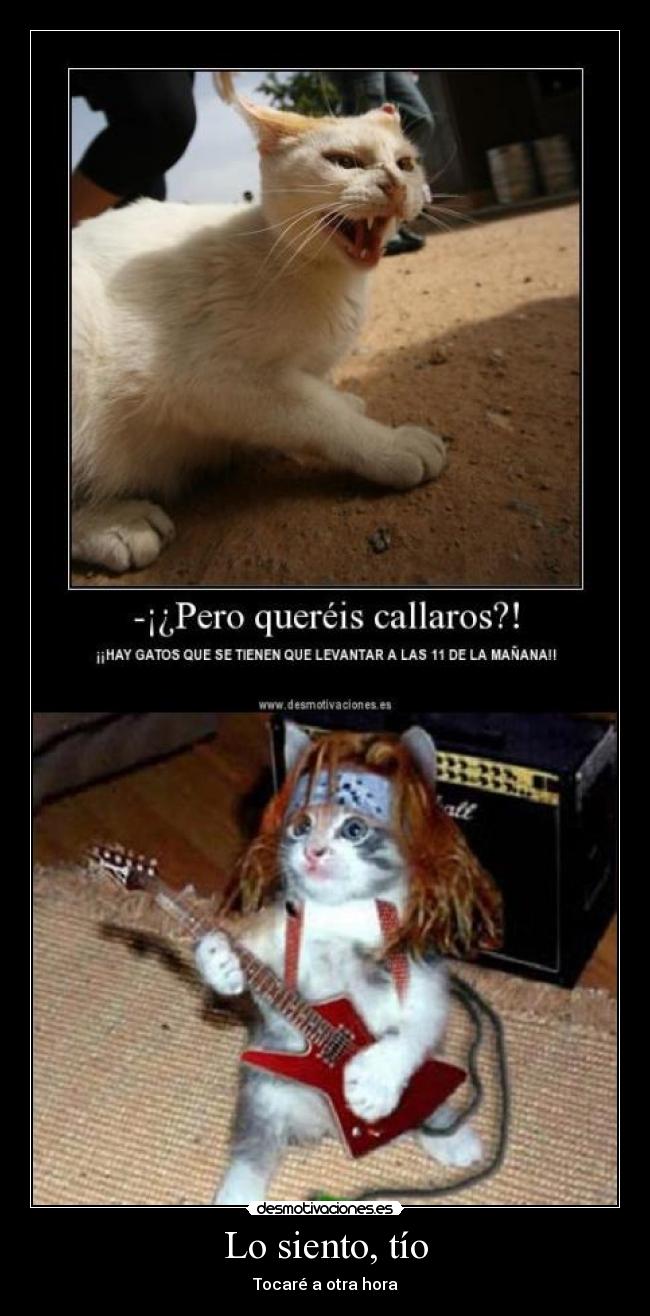 Lo siento, tío -