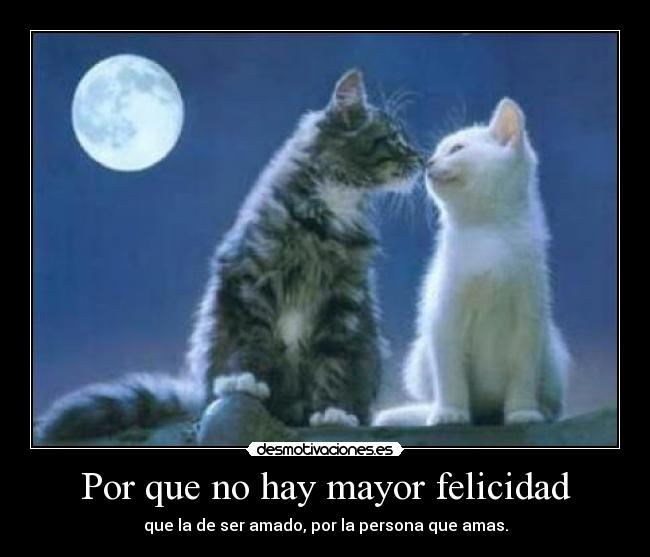 carteles felicidad naya desmotivaciones