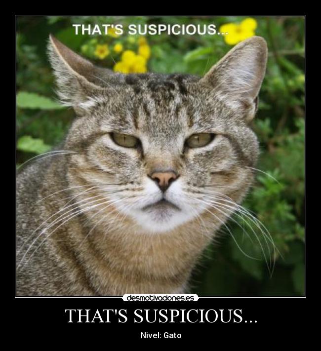 THATS SUSPICIOUS... - Nivel: Gato