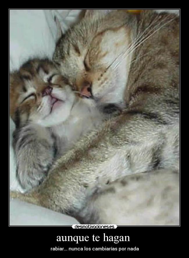 aunque te hagan  - 