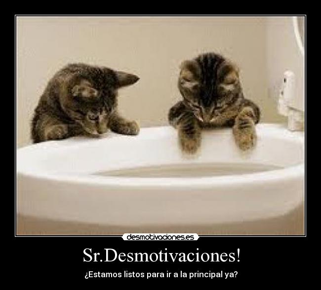 Sr.Desmotivaciones! -