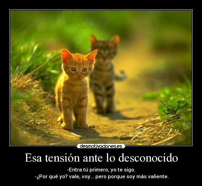 Esa tensión ante lo desconocido - 