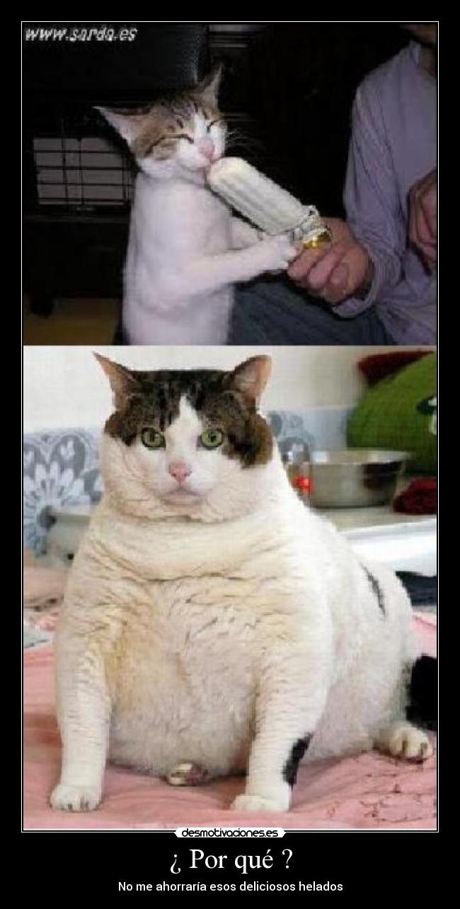 ¿ Por qué ? - No me ahorraría esos deliciosos helados