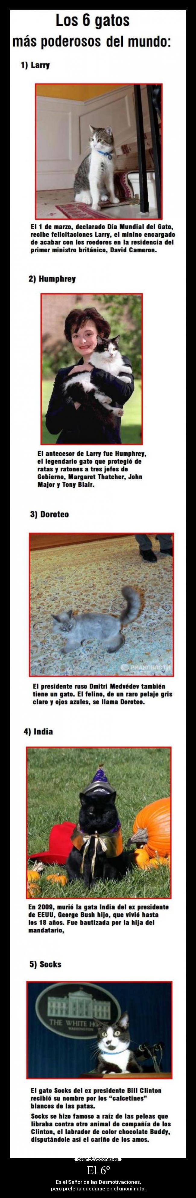 carteles senor las desmotivaciones pero preferia quedarse anonimato desmotivaciones