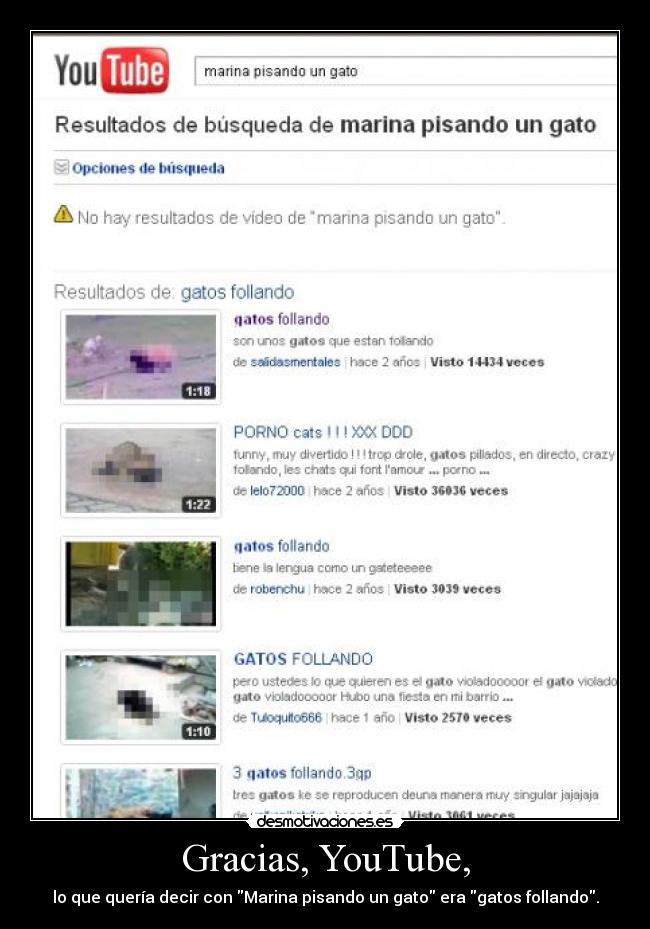 carteles gatos follando marina pisando gatosyoutube lunnarisdeidhun desmotivaciones