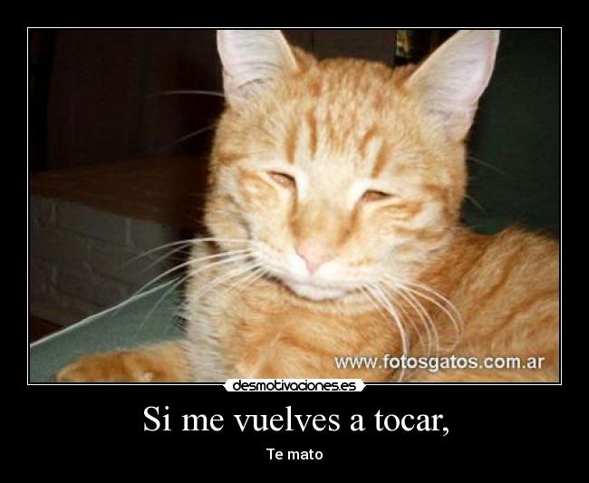 Si me vuelves a tocar, - Te mato