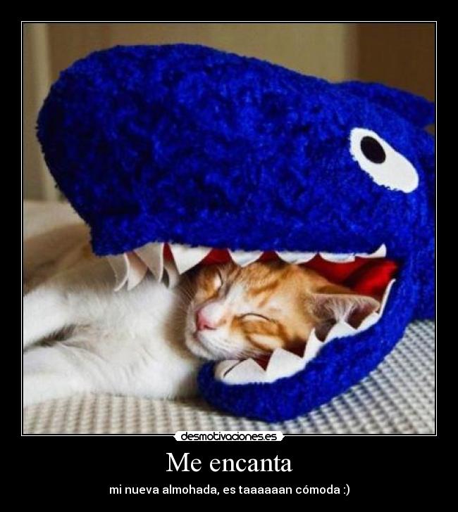 Me encanta - 