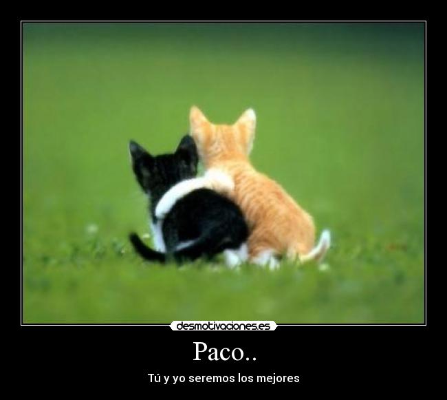 Paco.. - 