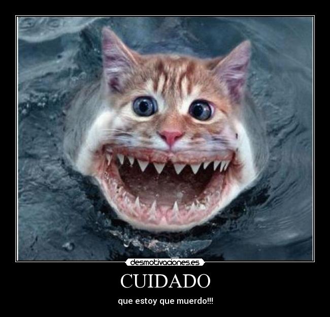 CUIDADO -
