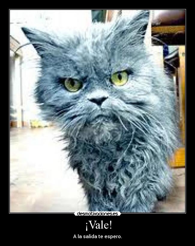 ¡Vale! - A la salida te espero.