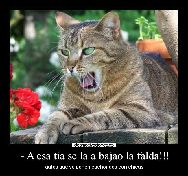 - A esa tia se la a bajao la falda!!! -