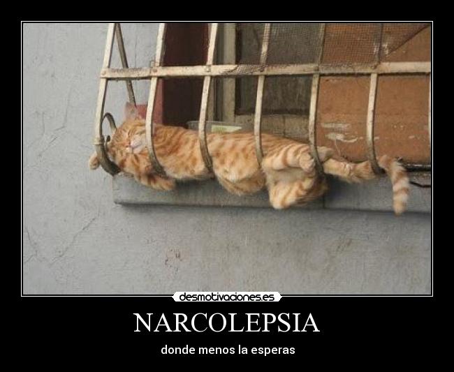 NARCOLEPSIA -