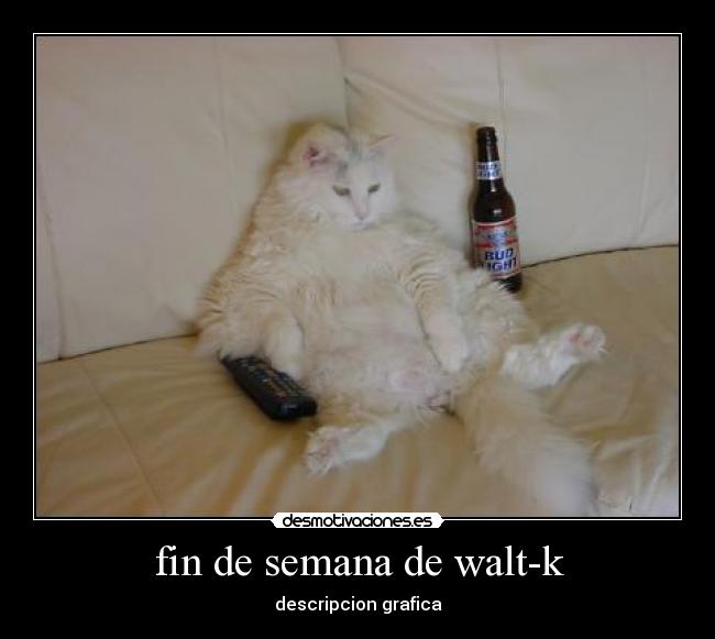 fin de semana de walt-k - descripcion grafica