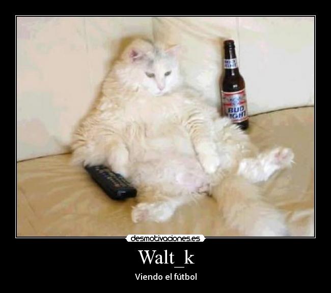 Walt_k -