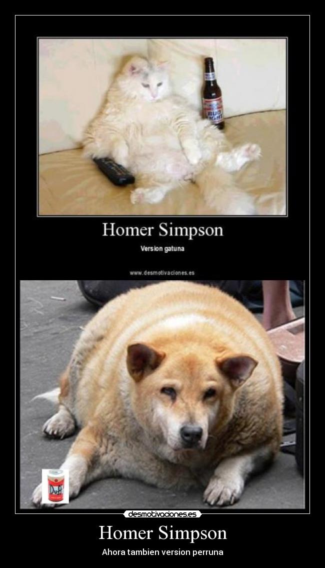 Homer Simpson - Ahora tambien version perruna
