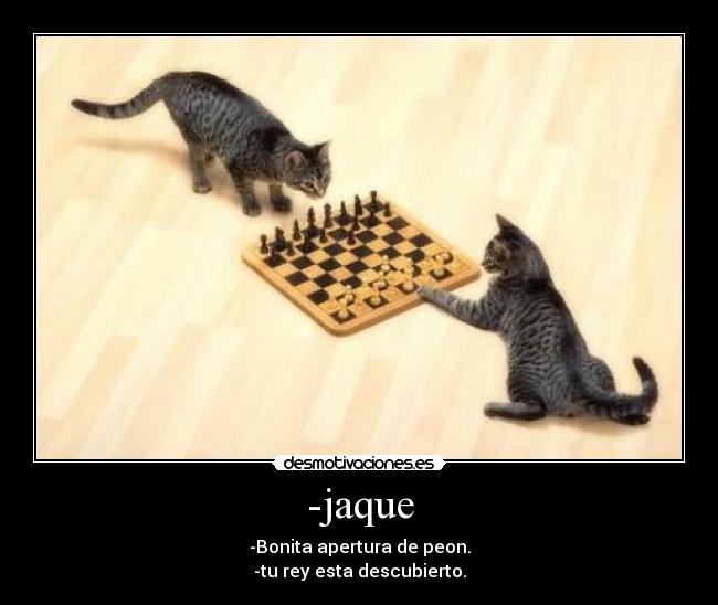 -jaque - -Bonita apertura de peon.
-tu rey esta descubierto.