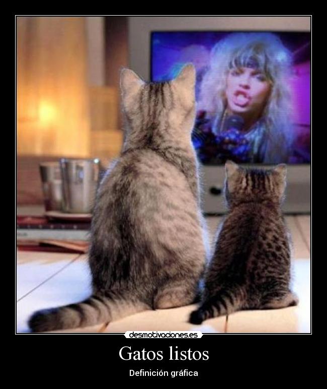 Gatos listos - Definición gráfica