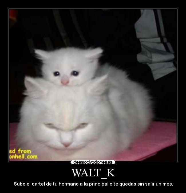 WALT_K - Sube el cartel de tu hermano a la principal o te quedas sin salir un mes.