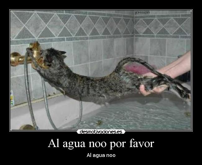 Al agua noo por favor - Al agua noo
