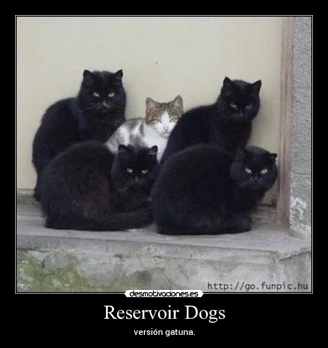 Reservoir Dogs -