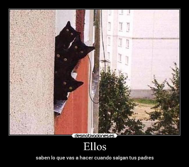 Ellos - 
