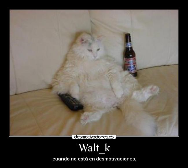 Walt_k - cuando no está en desmotivaciones.