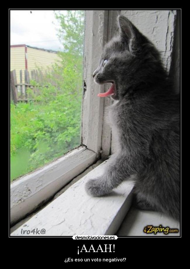¡AAAH! - ¿¡Es eso un voto negativo!?