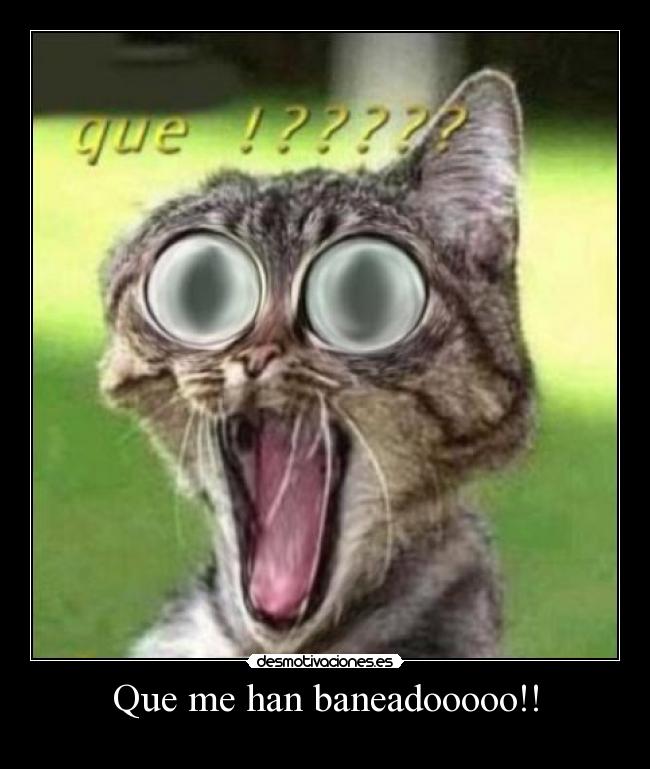 Que me han baneadooooo!! - 