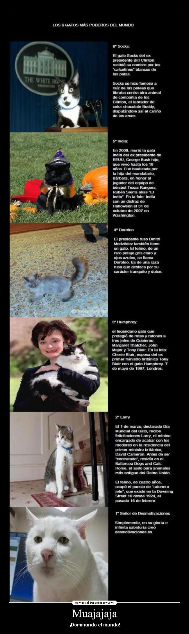 Muajajaja - ¡Dominando el mundo!