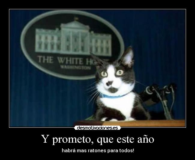 Y prometo, que este año - habrá mas ratones para todos!